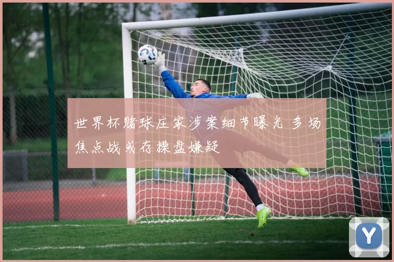 世界杯赌球庄家涉案细节曝光 多场焦点战或存操盘嫌疑