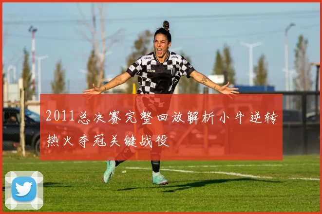 2011总决赛完整回放解析小牛逆转热火夺冠关键战役