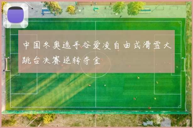 中国冬奥选手谷爱凌自由式滑雪大跳台决赛逆转夺金